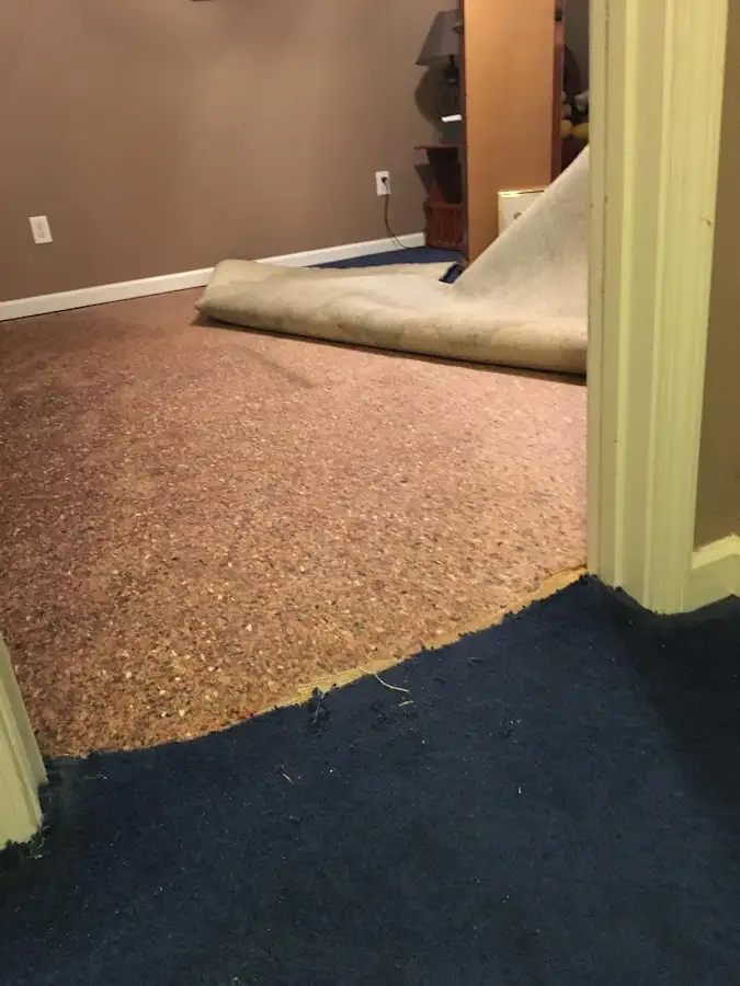 Carpet pad removal revealing water damage during Drying & Dehumidification in Cedar Rapids
