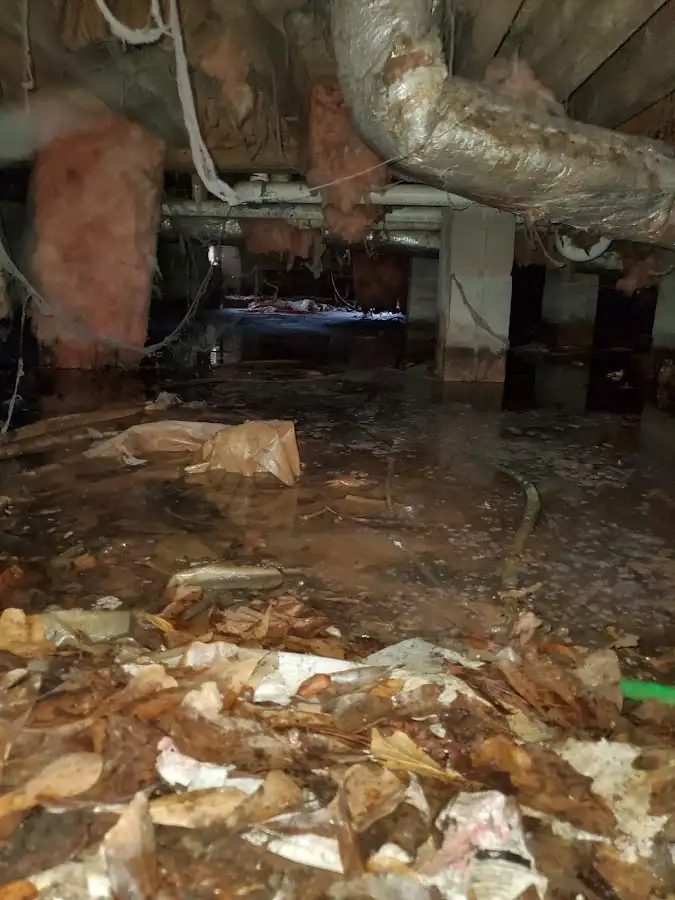 Crawl space flood assessment for Leak Detection & Repair in Cedar Rapids
